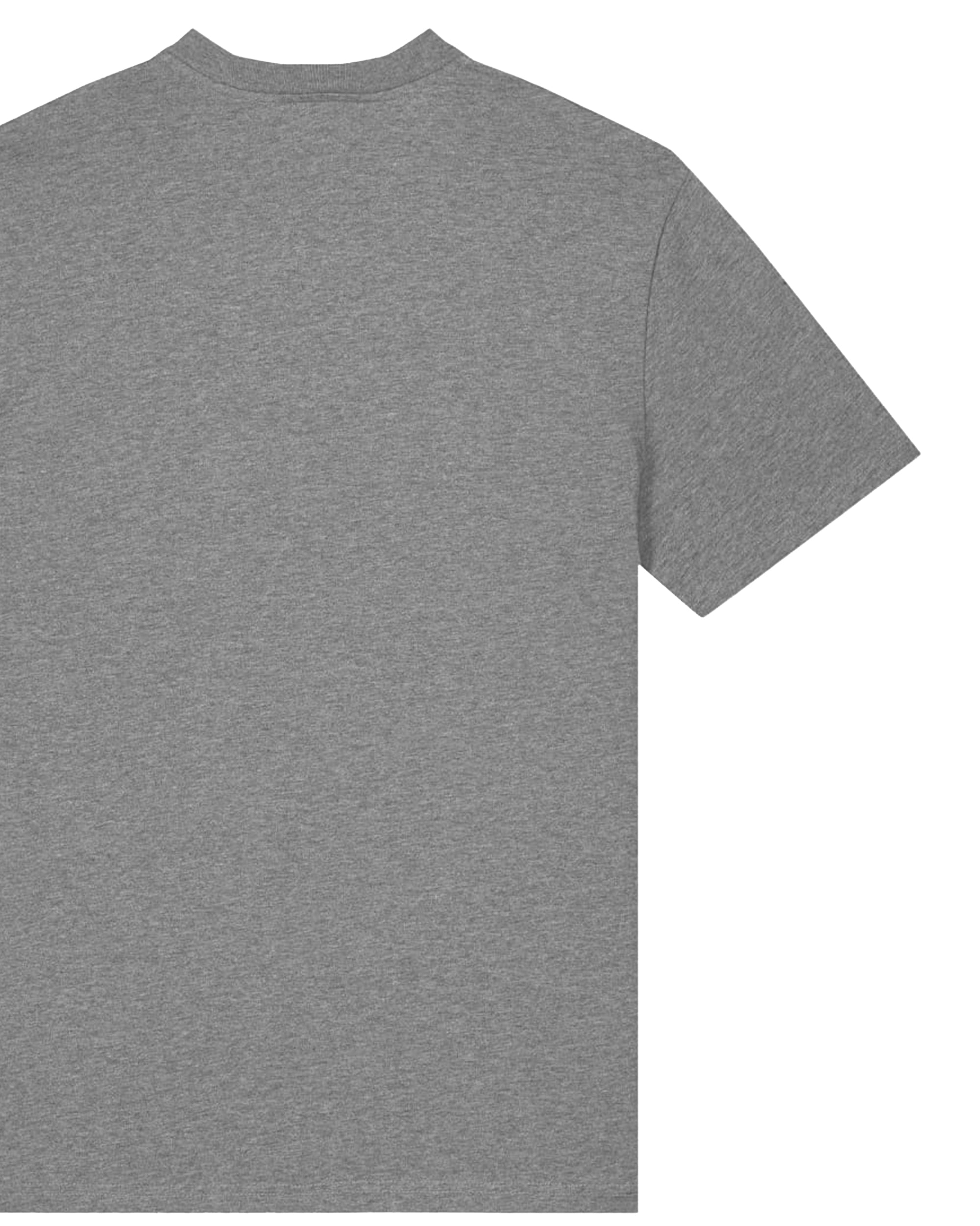 De Koi | T-shirt Unisex | AsGrijs
