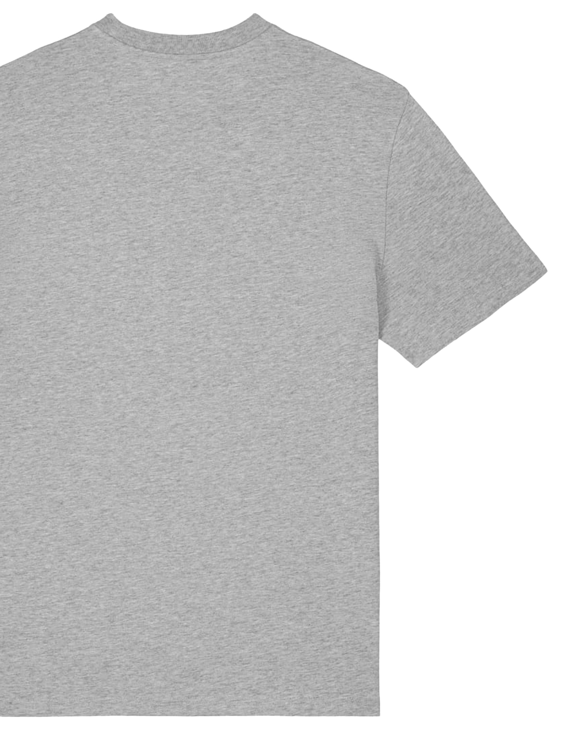 De Koi | T-shirt Unisex | RotsGrijs